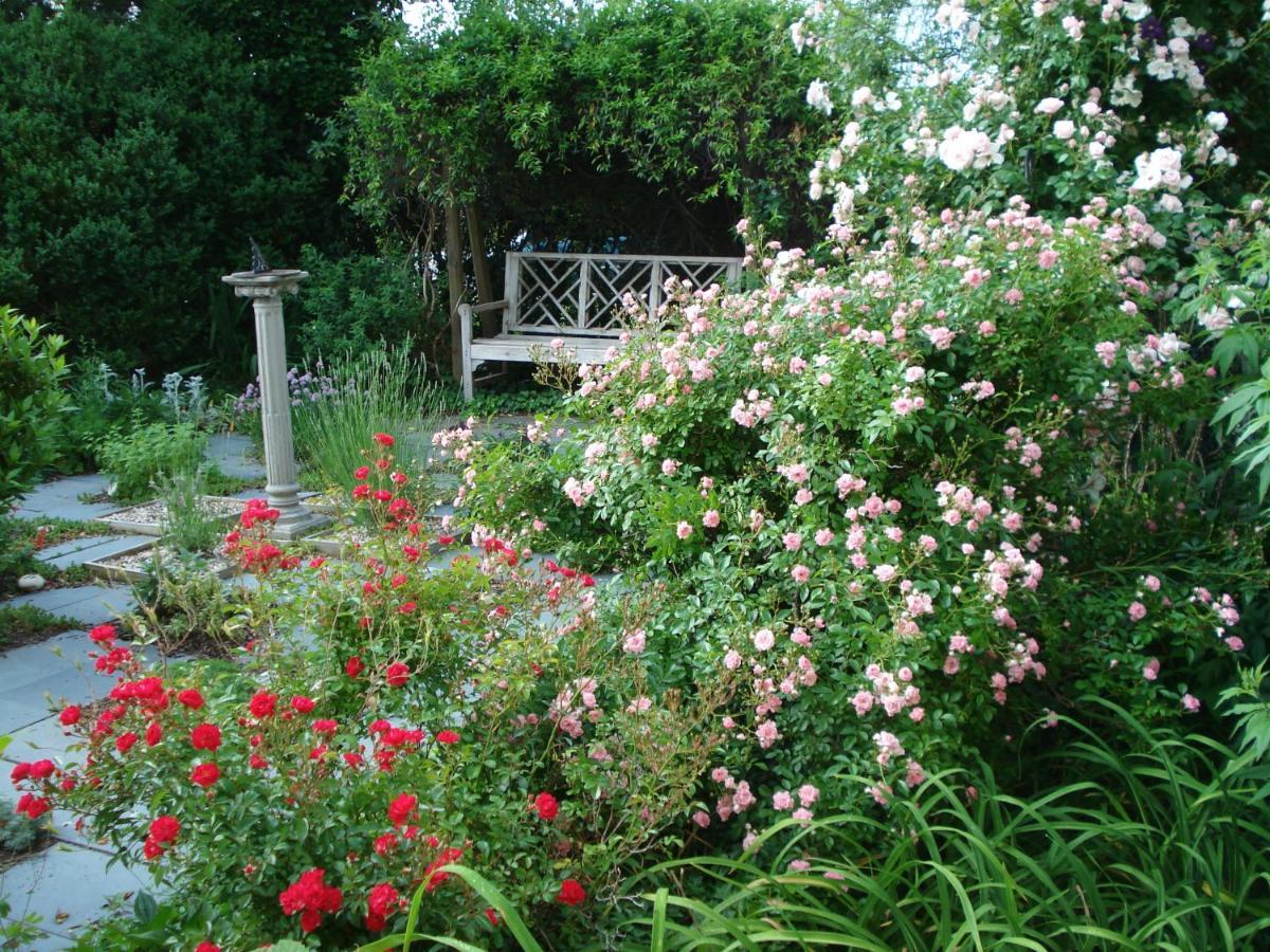 Newport House Bed & Breakfast Williamsburg Eksteriør billede